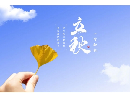 今日立秋：人間朝暮，葉落驚秋